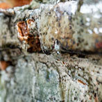 Daniel Boyle at work in his pottery 2019